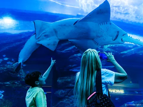Tunnel dell'Acquario di Dubai incluso nel biglietto combinato Burj Khalifa