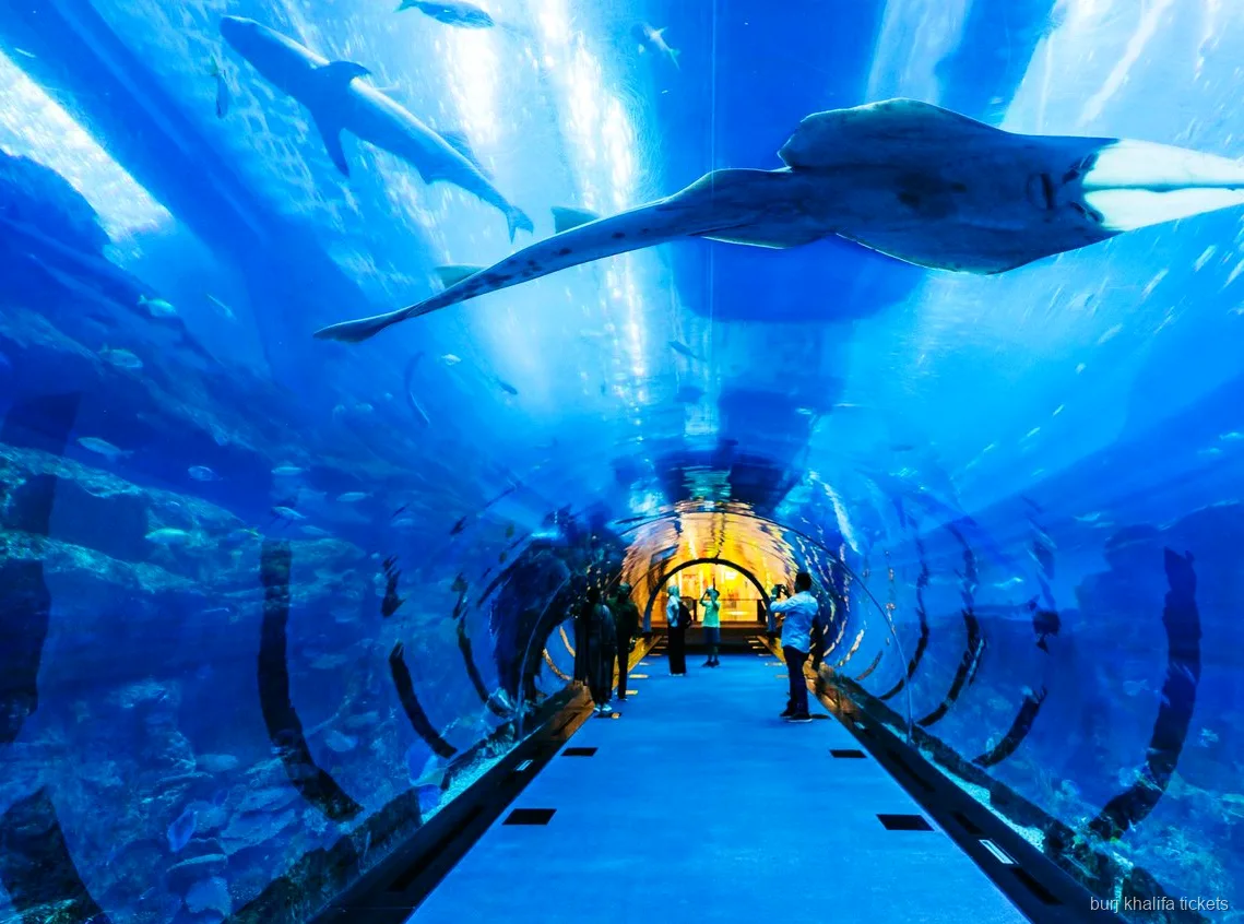 Ekspozycja w Underwater Zoo objęta biletem na Burj Khalifa i akwarium