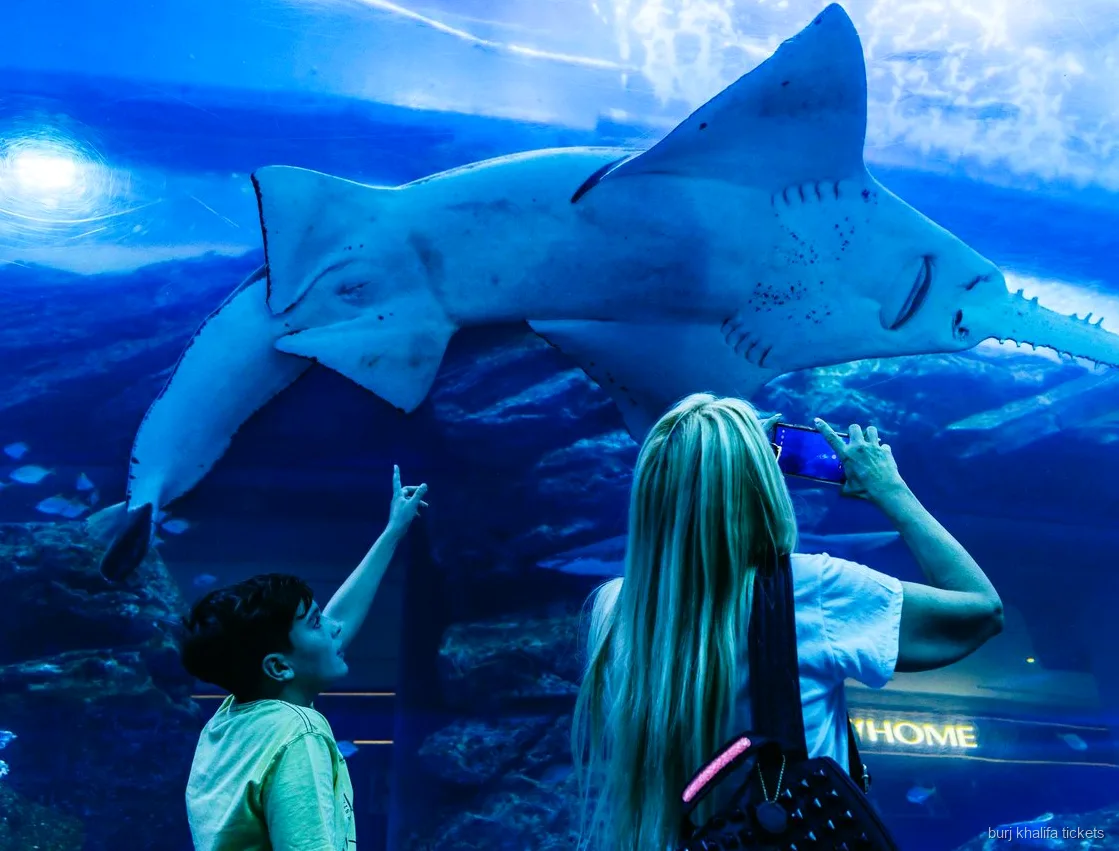 Dubai Aquarium tunnel inbegrepen bij het Burj Khalifa combiticket