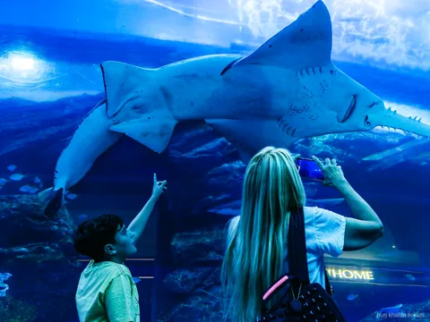Dubai Aquarium tunnel included with the Burj Khalifa combo ticket
