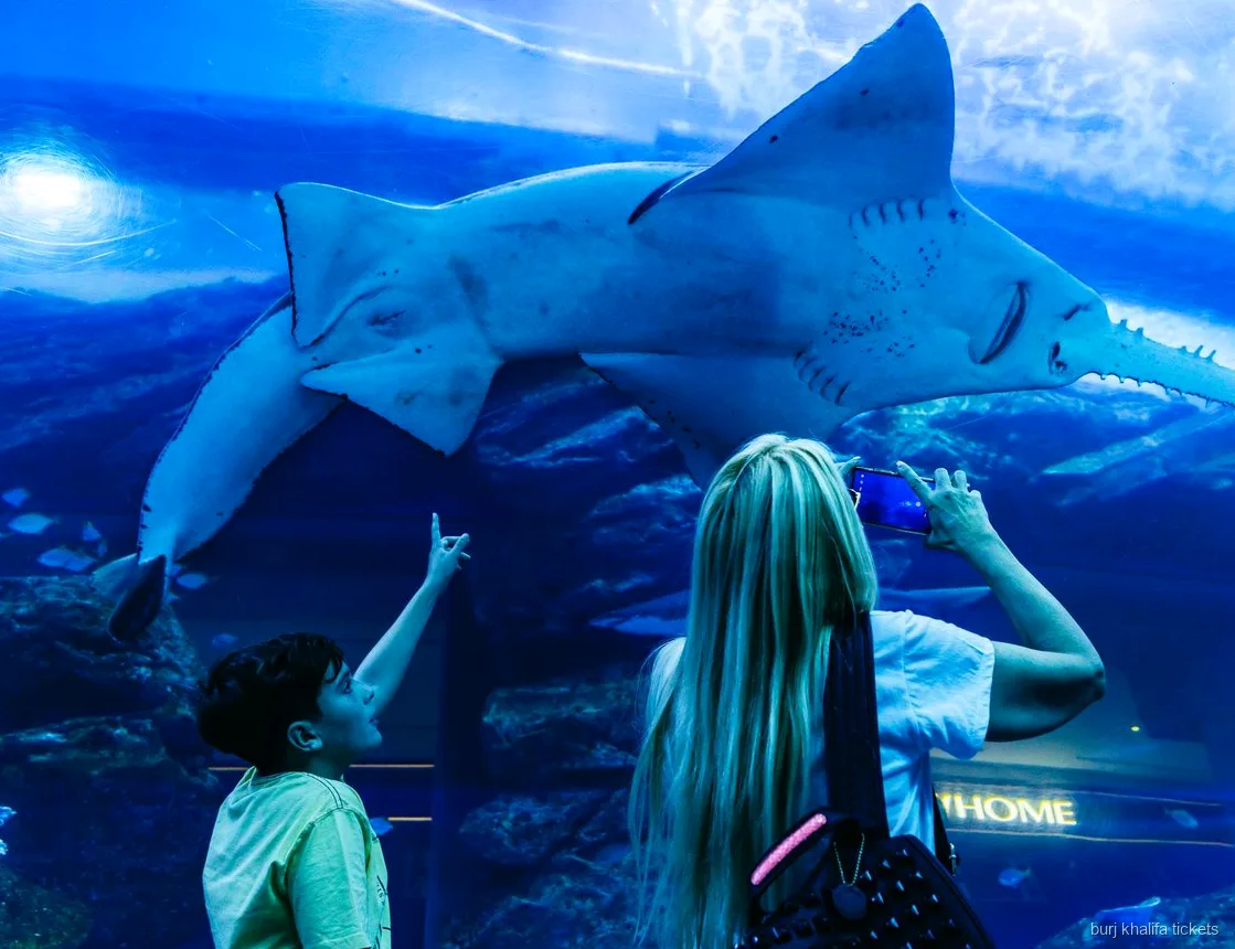 Dubai Aquarium Tunnel, enthalten im Burj Khalifa Kombiticket